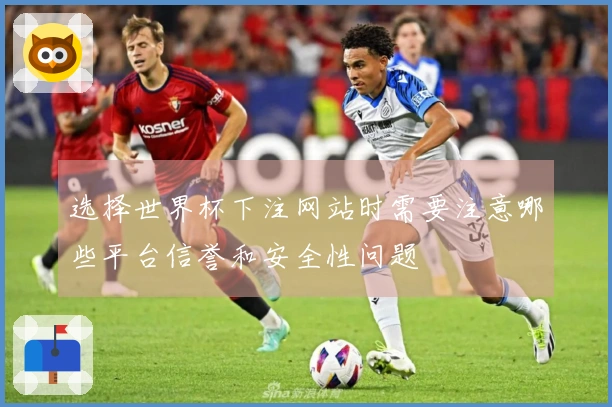 选择世界杯下注网站时需要注意哪些平台信誉和安全性问题
