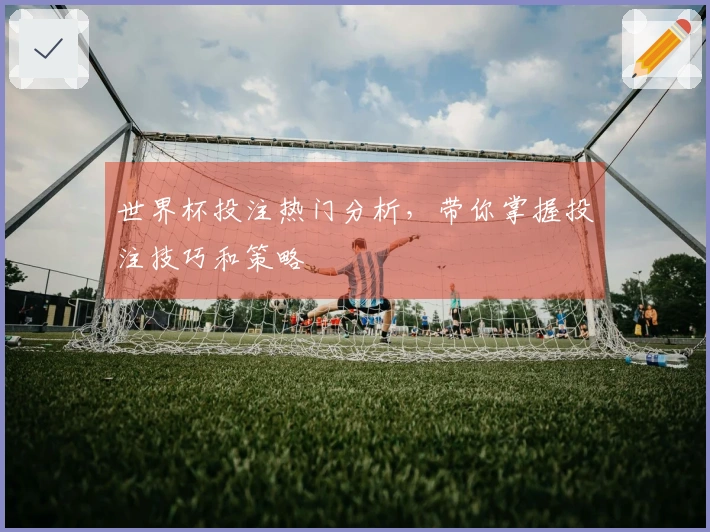 世界杯投注热门分析，带你掌握投注技巧和策略